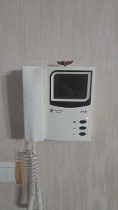 نمایندگی آیفون تصویری تهرانسر